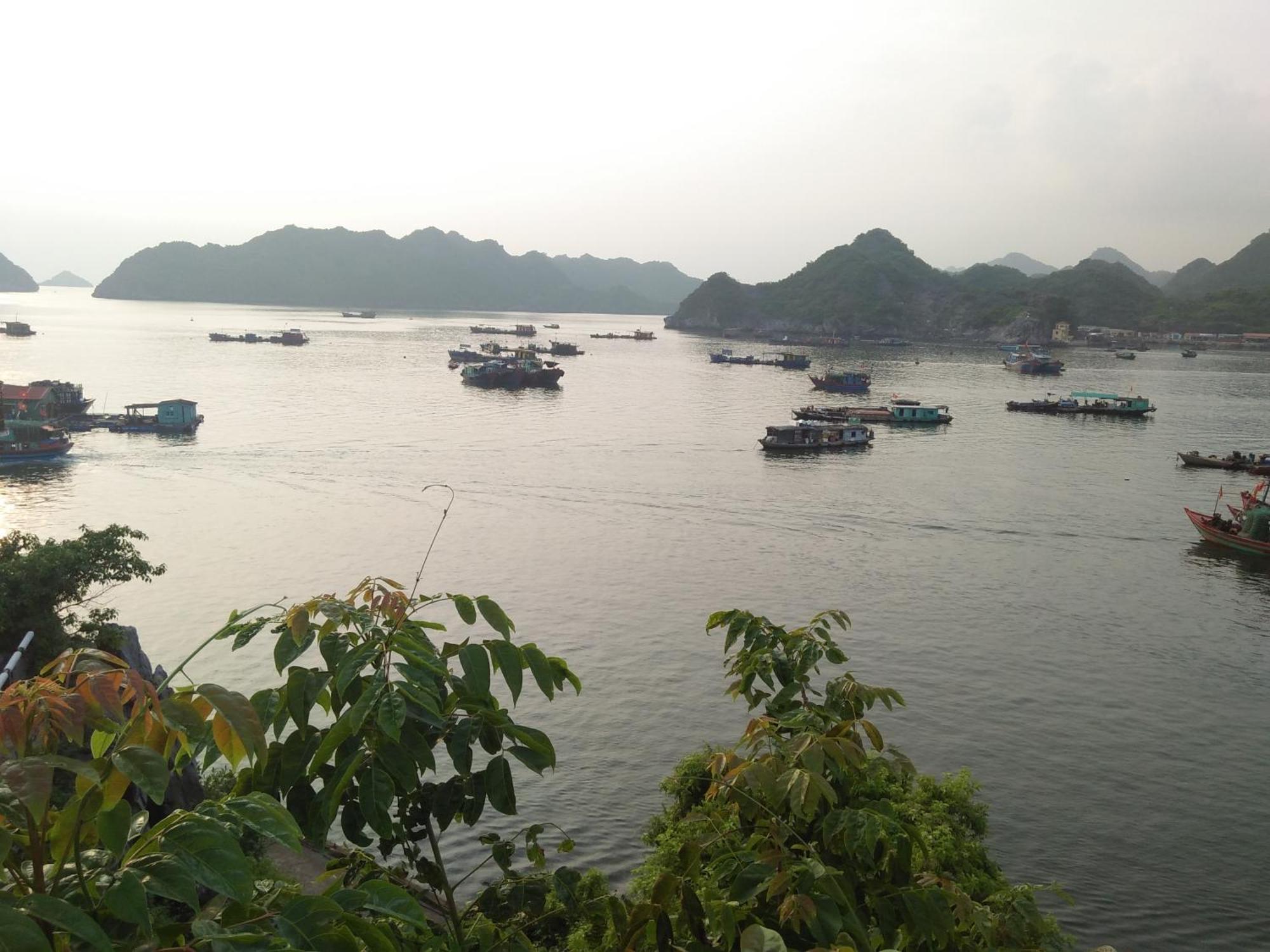 Cat Ba Victory Hostel Dong Khe Sau ภายนอก รูปภาพ